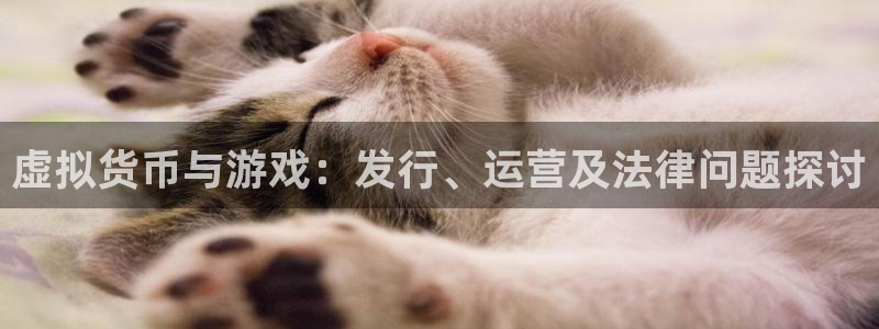 im电竞官网客服电话号码：虚拟货币与游戏：发行、运营及法律问题探讨
