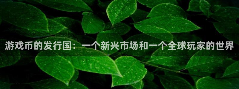 im电竞官网登录注册账号失败怎么办：游戏币的发行国：一个新兴市场和一个全球玩家的世界