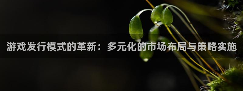 法国im电竞：游戏发行模式的革新：多元化的市场布局与策略实施