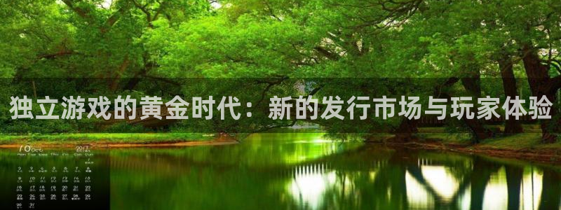 南京im电竞子电子商务有限公司：独立游戏的黄金时代：新的发行市场与玩家体验