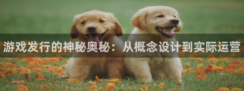 im电竞官网开户待遇：游戏发行的神秘奥秘：从概念设计到实际运营