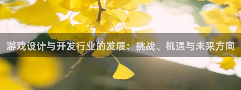 im电竞球队：游戏设计与开发行业的发展：挑战、机遇与未来方向