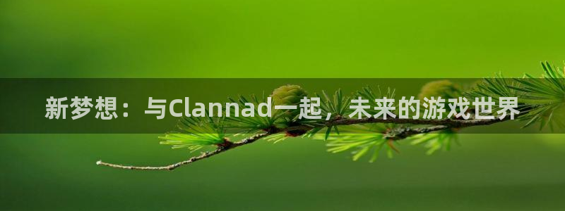 im电竞官网注册地址在哪里查询：新梦想：与Clannad一起，未来的游戏世界
