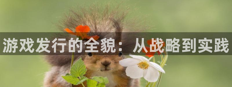 广东im电竞营销策划有限公司