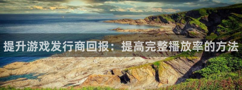 im电竞子公司怎么样