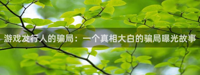 广州im电竞网络科技有限公司怎么样