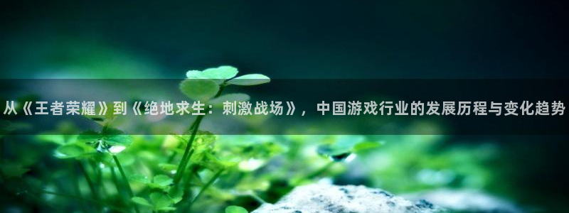 im电竞官网注册方法：从《王者荣耀》到《绝地求生：刺激战场》，中国游戏行业的发展历程与变化趋势
