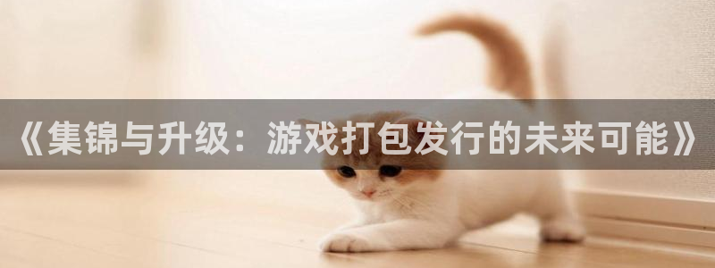 im电竞电商怎么样可靠吗：《集锦与升级：游戏打包发行的未来可能》