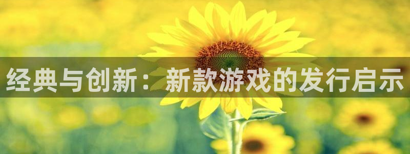 im电竞啤酒怎么样