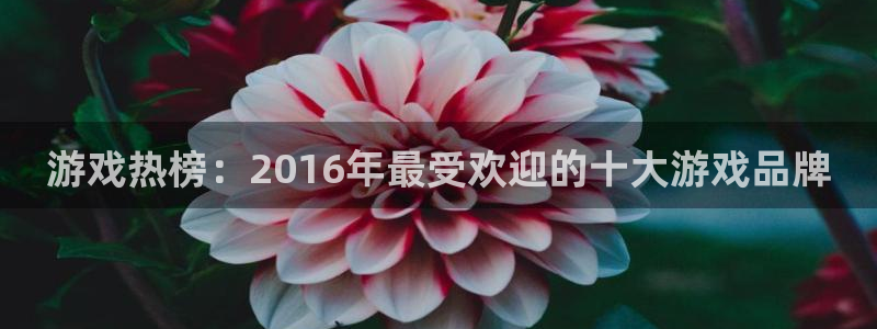 im电竞电商怎么样可靠吗：游戏热榜：2016年最受欢迎的十大游戏品牌