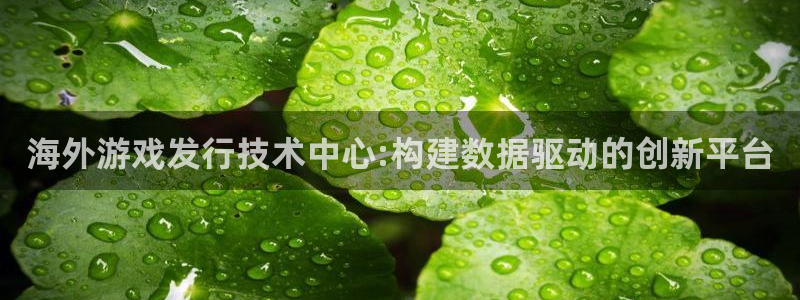 im电竞子文化有什么游戏：海外游戏发行技术中心:构建数据驱动的创新平台