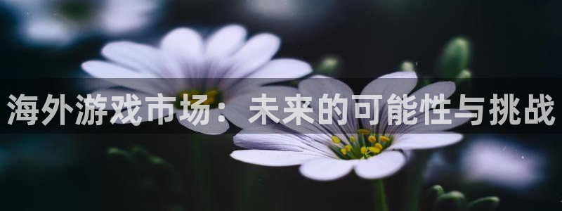 im电竞娱乐测速官网