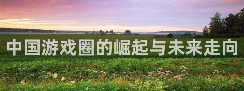 im电竞官网注册方法是什么：中国游戏圈的崛起与未来走向