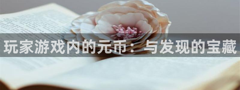江苏im电竞智得：玩家游戏内的元币：与发现的宝藏