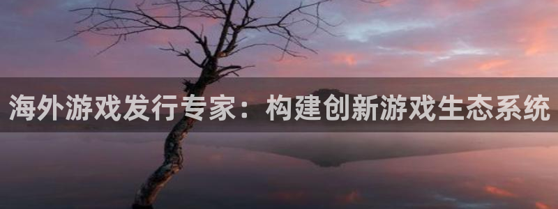 im电竞子图书：海外游戏发行专家：构建创新游戏生态系统