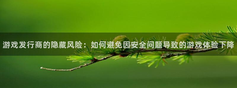 im电竞官网分红：游戏发行商的隐藏风险：如何避免因安全问题导致的游戏体验下降