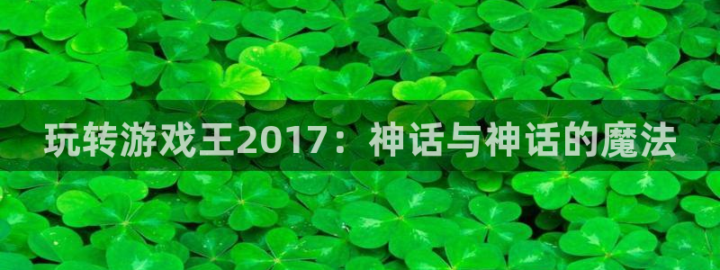 南京im电竞子电子商务有限公司：玩转游戏王2017：神话与神话的魔法