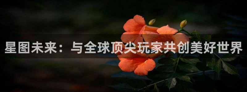 im电竞官网注册地址：星图未来：与全球顶尖玩家共创美好世界